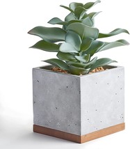 Seirai Living Co 8 Inch Artificial Succulents In Pots, Fake Plants For Bedroom - £33.53 GBP