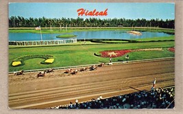 Horse Racing at Hialeah Race Course Florida 1978 - $10.54