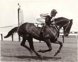 DVD - AUSTRALIAN HORSE RACING HISTORY: Horses/TRAINERS/Owners/BREEDERS/S... - £31.46 GBP