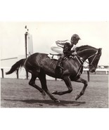 DVD - AUSTRALIAN HORSE RACING HISTORY: Horses/TRAINERS/Owners/BREEDERS/S... - $39.99