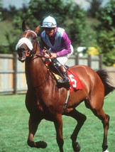 DVD - LOCHSONG...the QUEEN of SPEED...Europe&#39;s Swiftest Filly Ever - RARE!! - £27.51 GBP