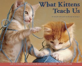 What Kittens Teach Us 2012 Calendar [Aug 01, 2011] Willowcreek - £5.09 GBP