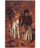 Navajo Lass and Her Burro Donkey Kodachrome Original By Jack Breed Postcard - $55.93 MXN