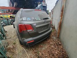 Passenger Right Front Door Glass Fits 11-15 SORENTO 1434 image 3