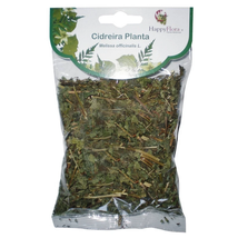 Lemon Balm Tea Plant Melissa officinalis Portugal Herbal Dried 100g Infu... - $22.99 Lemon Balm Tea Plant Melissa officinalis Portugal Herbal Dried 100g Infu... - $22.99