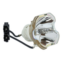 Hitachi DT00771 Ushio Projector Bare Lamp - $258.00