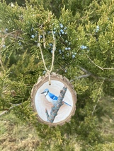 Blue Jay wood slice ornament hand-painted to order - $45.00