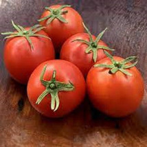 SKM 50 Seeds Dona Tomato Juicy Tomatoe Vegetable Edible Food Easy to Grow - $10.97