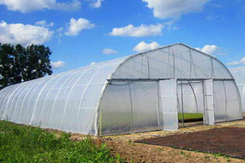 Greenhouse White /Light Blue Plastic Clear Poly Film 5 Year Protection - £44.07 GBP - £334.94 GBP