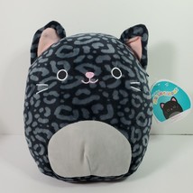 Squishmallow 8” Xiomara Black Leopard Cat Plush 2021 Nwt Kitty Stuffed Animal - £12.56 GBP