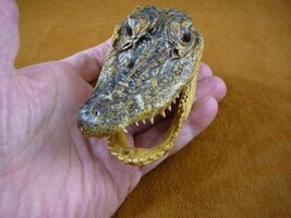 G-Def-251) 4-1/8&quot; Deformed Gator ALLIGATOR HEAD jaw teeth TAXIDERMY weir... - £30.27 GBP