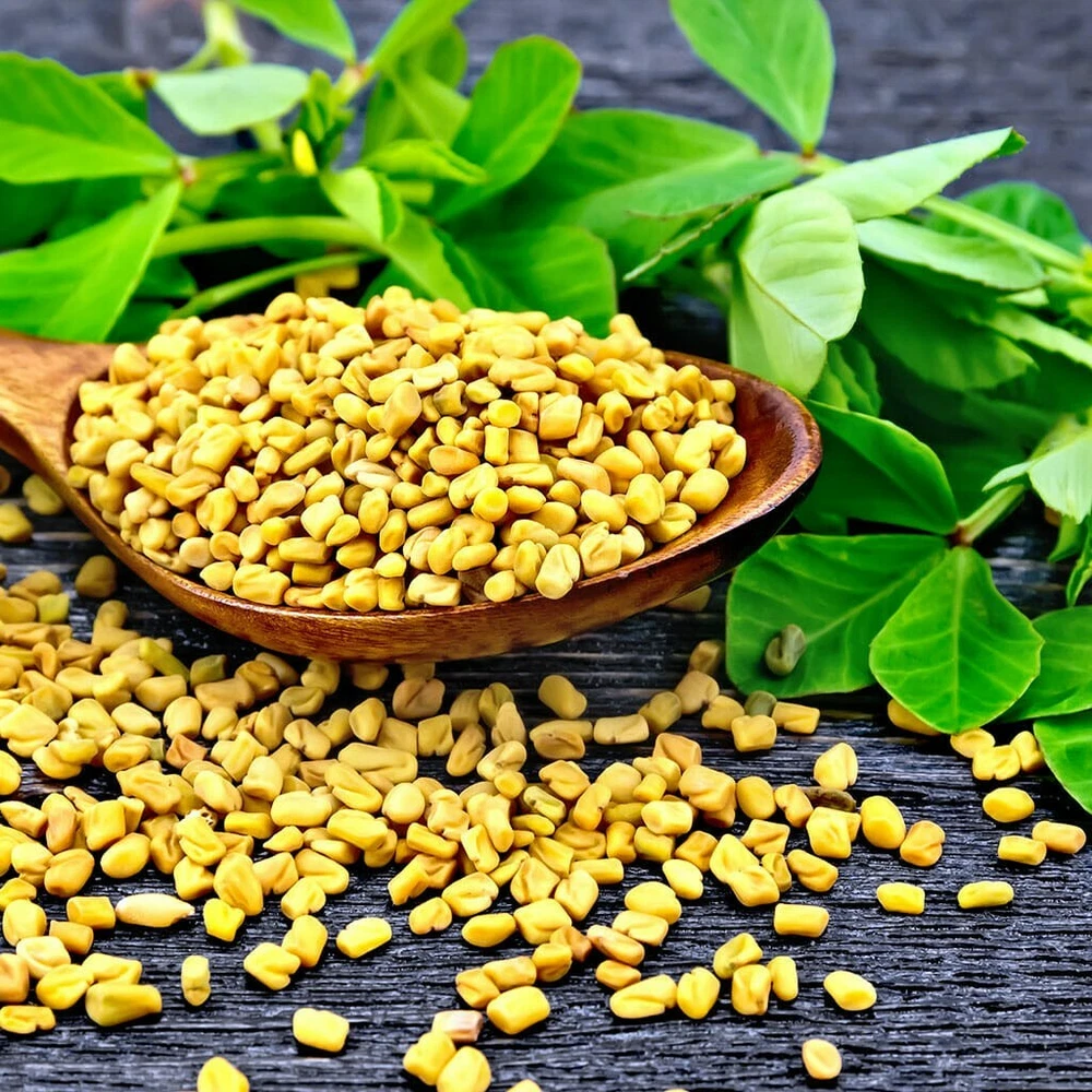 100 Fenugreek Herb Seeds Non-Gmo - $2.59