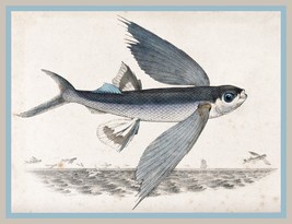 13512.Wall Decor Poster.Room Interior home design.Flying fish.Ocean nature - £13.01 GBP+