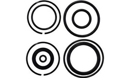 Trim O-Ring and Seal Kit for Johnson Evinrude replaces 0174520 - $39.95