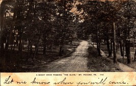 Vintage Postcard PA Mt. Pocono A Shady Drive Passing The Elvin -1907-BK29 - £3.89 GBP