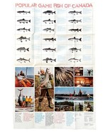 Game Fish Of Canada Poster 1960s-80s Double Sided Fishing Landscape 22x3... - $565.67 MXN