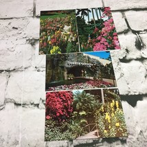 Vintage Postcard Lot Of 4 Florida Sunken Gardens Flowers - £6.19 GBP