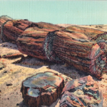 Giant Petrified Logs Rainbow Forest Postcard Linen Vintage - £7.84 GBP