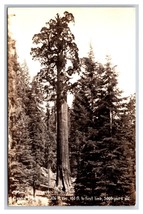 RPPC General Grant Tree King&#39;s Canyon National ParkCalifornia CA UNP Postcard Z9 - £3.85 GBP