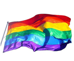 Pride LGBT Flag 90x150cm - £3.46 GBP+
