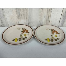 Vintage Woodhaven Collection Stoneware Sunny Brook Dinner Plates Lot of 2 - $6.66