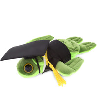 Big Eye Sea Turtle Graduation Plush Toy With Graduation Gown &amp; Cap - 6&quot; - £22.80 GBP