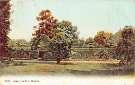Maze At Del Monte CALIFORNIA~1900s Paul Koeber Published Postcard - £5.21 GBP