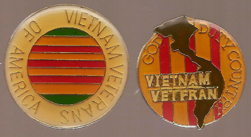 Vintage Vietnam War Era US Armed Forces Vietnam Veteran Pin Set Spelling... - $5.00
