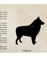 Schipperke 1939 Dog Breed Art Ole Larsen Color Plate Print Antique PCBG18 - €25,76 EUR
