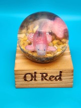 Fish Globe, Ol Red - $35.00