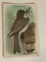 Arm &amp; Hammer Eastern Phoebe Victorian Trade Card VTC 5 - £3.15 GBP