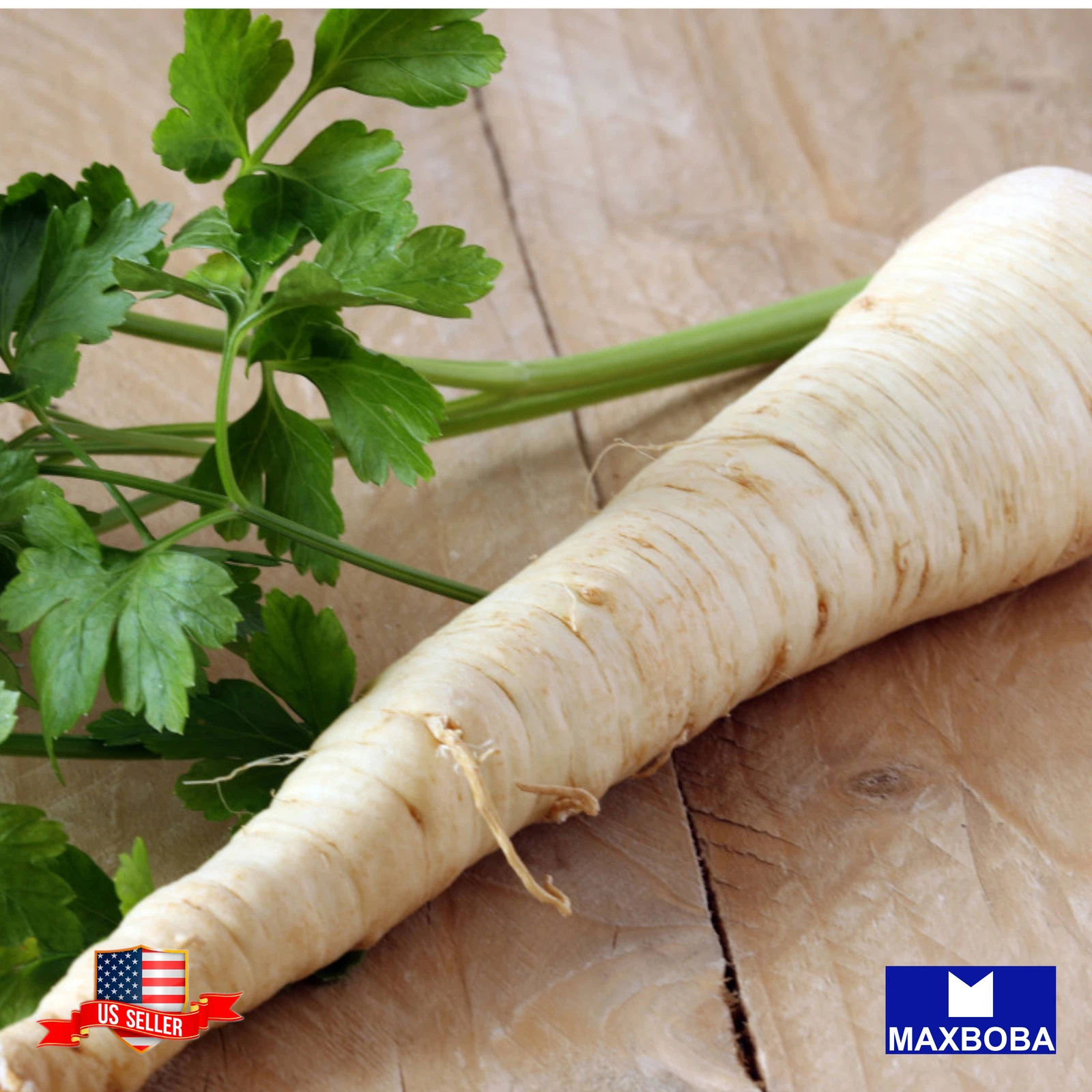 Radish Fresh Seeds White Icicle Organic Non-GMO Heirloom Vegetable - $3.87