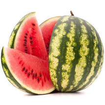 Watermelon Hydrosol 10ml - $6.72