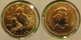 2005 Canada Tufted Puffin One Dollar Loonie Specimen Proof - $39.57