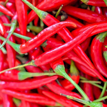 SKM 20 Cayenne Red Pepper Seeds Giants Non Gmo Heirloom Vegetable Spice ... - $17.93 CAD