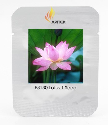 SL Heirloom Light Pink Fragrant Nelumbo Nucifera Lotus Flower Seeds, Pro... - $0.80