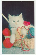 Vintage Postcard White Kitten Basket of Yarn 1960&#39;s Unused Cat Card - £5.45 GBP
