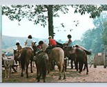 Horses on Trail Circle C Ranch Austin Texas TX UNP Chrome Postcard O2 - $12.42