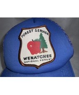 Vtg Forest Service Wenatchee National Patch Hat FLAWS - $24.42 CAD