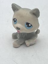 Littlest Pet Shop~#70~Husky~Puppy Dog~Sitting~Gray White~Blue Eyes~Red M... - $9.66