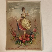 Steele And Perfumers Victorian Trade Card Chicago St Louis VTC 1 - £5.44 GBP