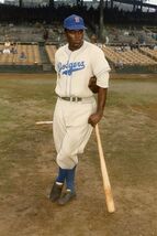 Jackie Robinson  Poster On Metal Sign 12x8in Dodgers MLB Baseball B - $24.74