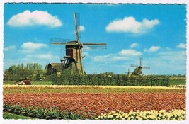 Holland Netherlands Postcard Land of Wind Mills &amp; Flowers - £1.57 GBP