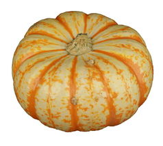 6 Pcs Microwaveable Mini Pumpkin Seeds #MNHG - £13.14 GBP