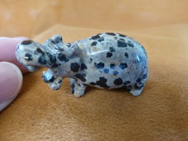 (Y-HIP-552) little spotted HIPPO Hippopotamus stone Gemstone figurinelov... - £14.65 GBP
