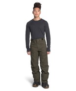 The North Face Freedom Pant Insulated Snow Men&#39;s Ski Pants Green Size Large - $176.50 CAD
