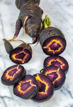 Guashi Store 100 Seeds Black Nebula Carrot Seeds Heirloom Organic Non Gmo Fresh  - £7.05 GBP