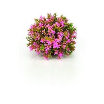 biOrb Topiary Ball, Pink  - $41.00