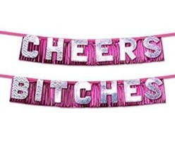 New In Package Pipedream Bachelorette Party Favors Cheers Bitches Party Banner - £23.60 GBP