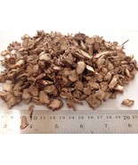 Kencur Kering (Dried Aromatic Ginger) 100gr - £14.24 GBP